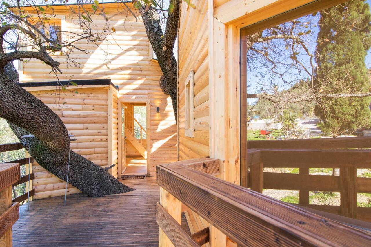 Romantic Tree House Kato Pavliana ภายนอก รูปภาพ