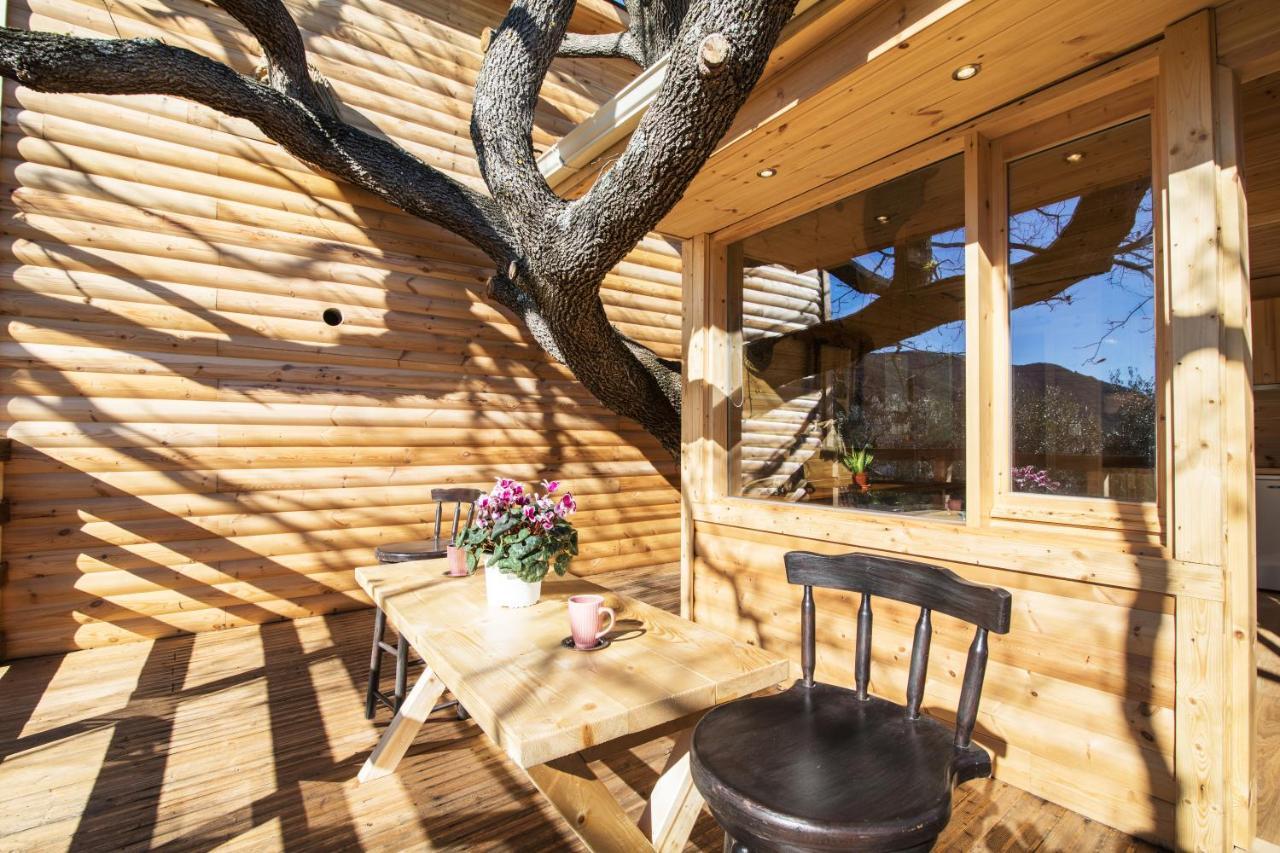 Romantic Tree House Kato Pavliana ภายนอก รูปภาพ