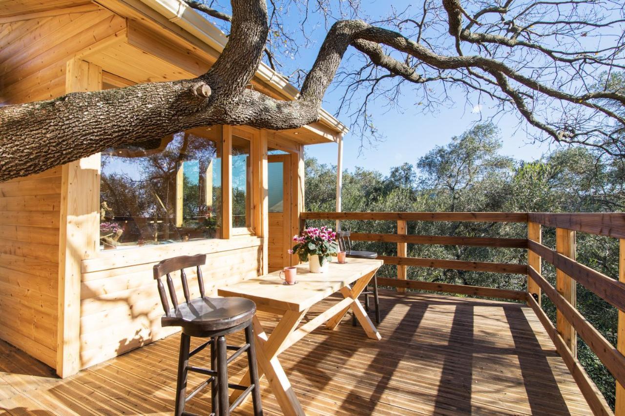 Romantic Tree House Kato Pavliana ภายนอก รูปภาพ
