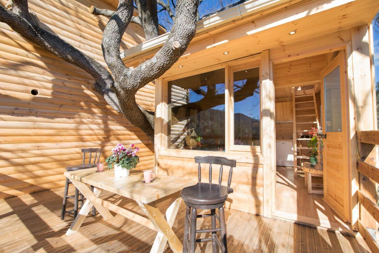 Romantic Tree House Kato Pavliana ภายนอก รูปภาพ