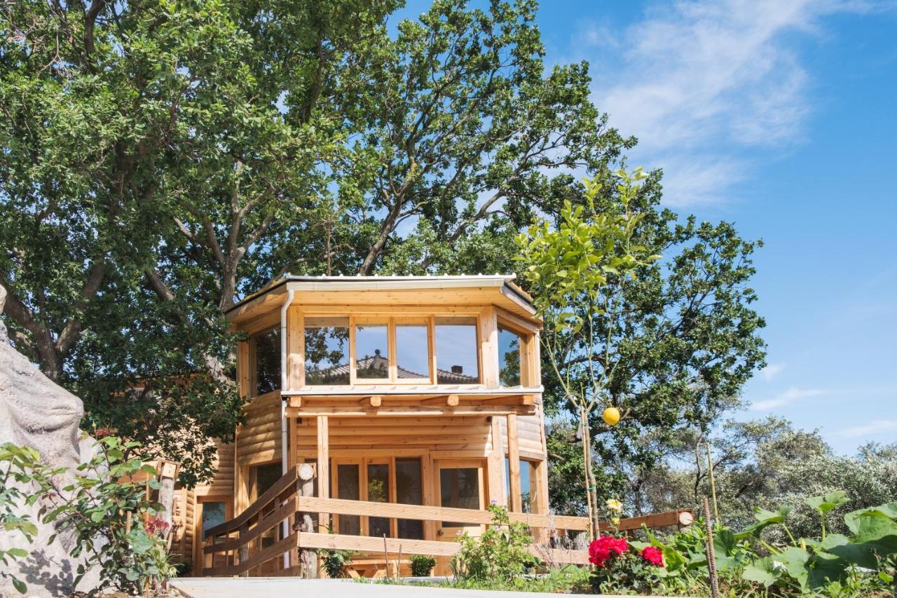 Romantic Tree House Kato Pavliana ภายนอก รูปภาพ